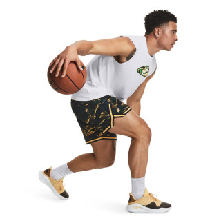 Pantaloni scurti Barbati CURRY MESH SHORT 1 Under Armour