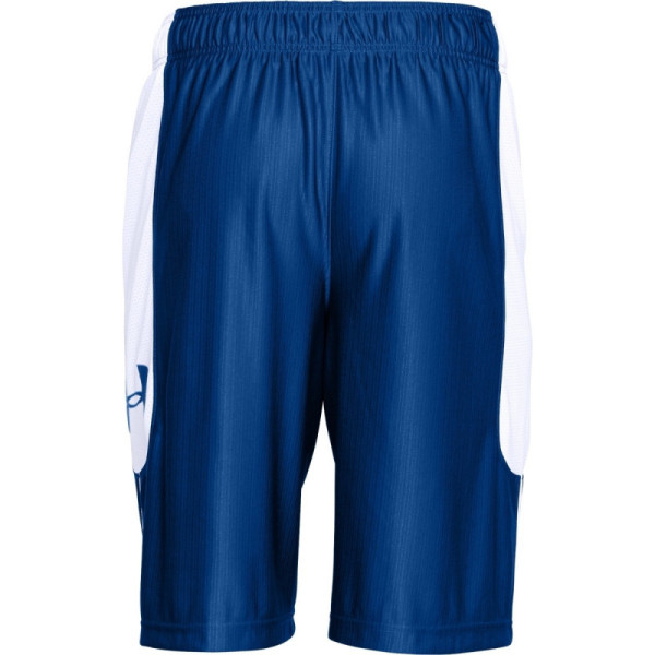 UA Perimeter11in Short