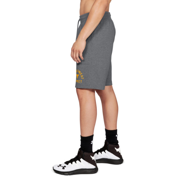 PROJECT ROCK RESPECT SHORT