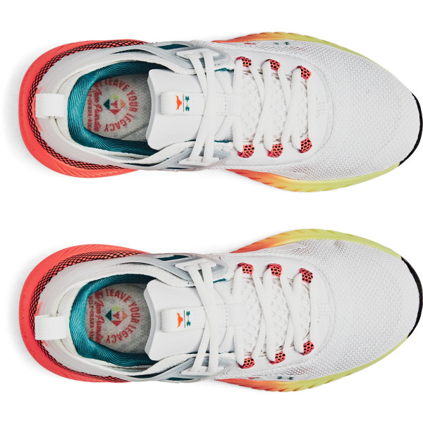 Pantofi Sport Dama PROJECT ROCK 5 Under Armour 