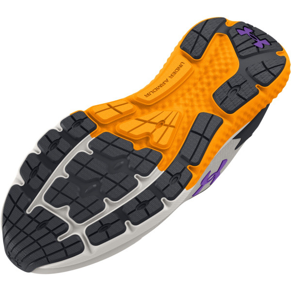 Pantofi Sport Barbati CHARGED ROGUE 3 STORM Under Armour