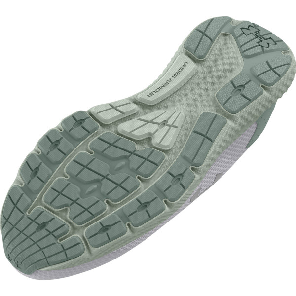 Pantofi Sport Dama CHARGED ROGUE 3 MTLC Under Armour