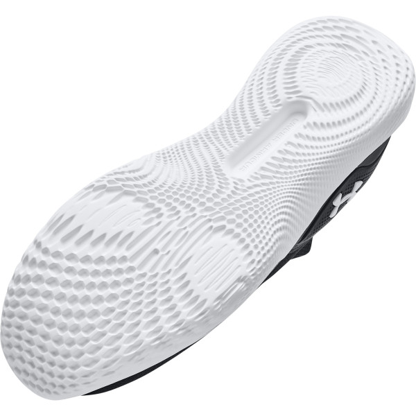 Pantofi Sport Barbati FLOW DYNAMIC Under Armour
