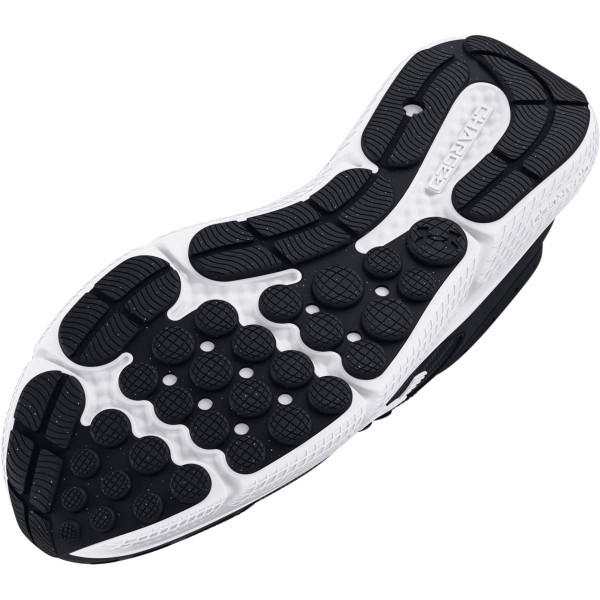Pantofi Sport Barbati CHARGED ASSERT 10 Under Armour